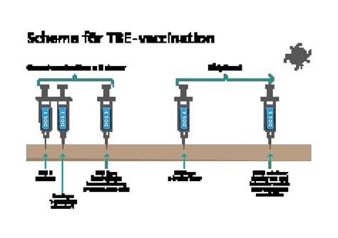 Vaccination tbe